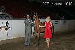 07Buckeye_1018 proof