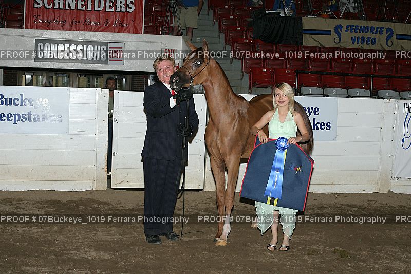 Proof 07Buckeye_1019