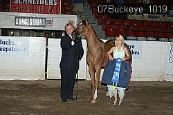 07Buckeye_1019 proof