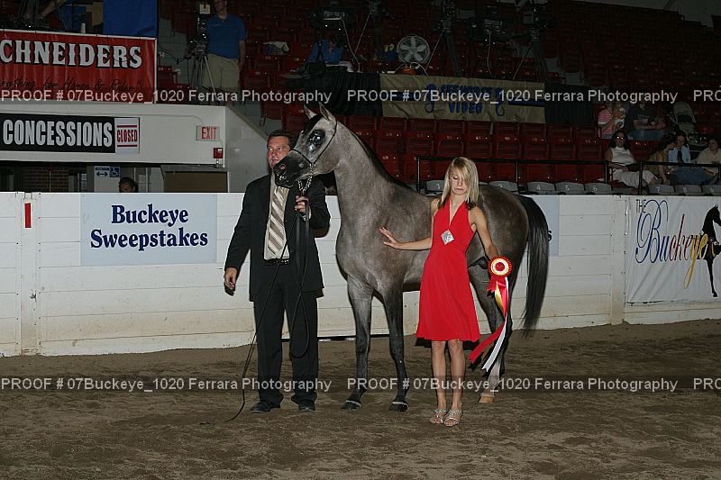 Proof 07Buckeye_1020