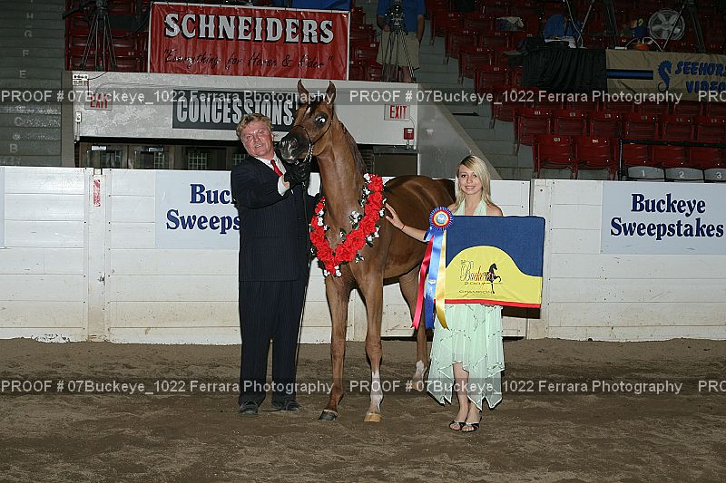 Proof 07Buckeye_1022