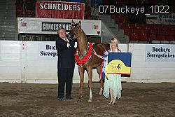 07Buckeye_1022 proof