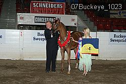 07Buckeye_1023 proof