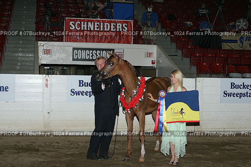Proof 07Buckeye_1024
