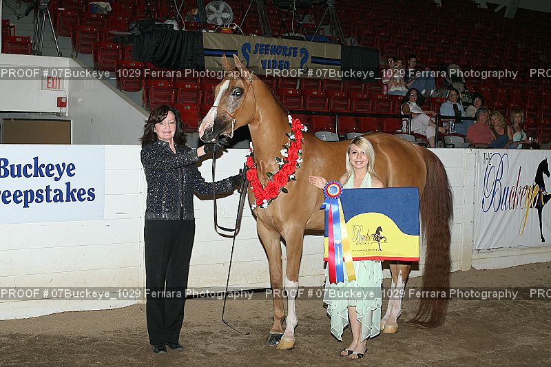 Proof 07Buckeye_1029