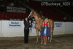 07Buckeye_1031 proof
