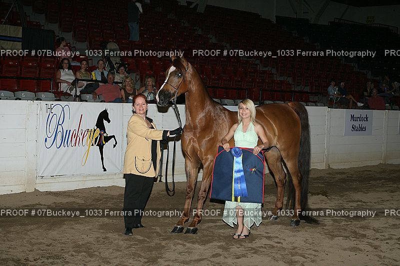 Proof 07Buckeye_1033