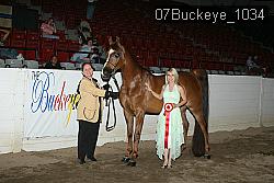 07Buckeye_1034 proof