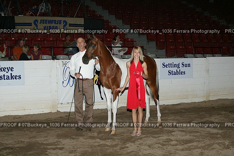 Proof 07Buckeye_1036