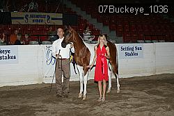 07Buckeye_1036 proof