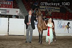 07Buckeye_1040 proof