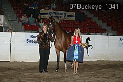 07Buckeye_1041 proof