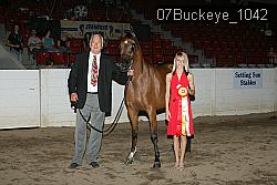 07Buckeye_1042 proof