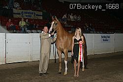 07Buckeye_1668 proof