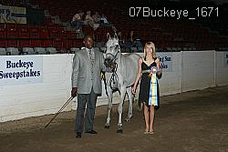 07Buckeye_1671 proof