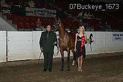 07Buckeye_1673 proof