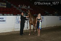 07Buckeye_1677 proof