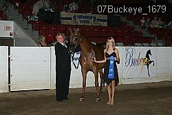 07Buckeye_1679 proof