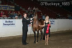 07Buckeye_1683 proof