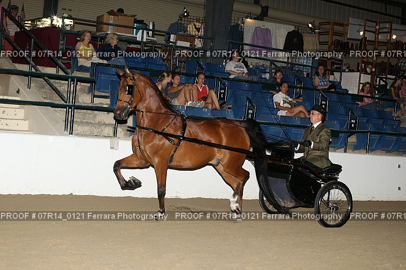 Proof 07R14_0121