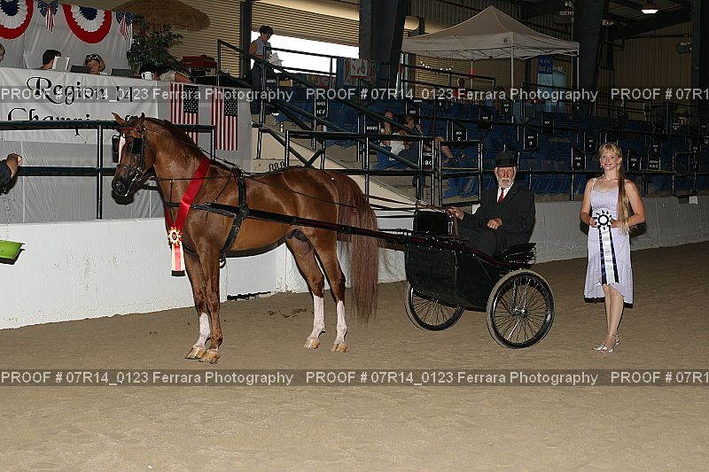 Proof 07R14_0123