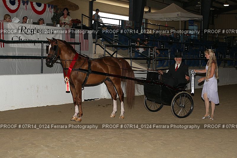 Proof 07R14_0124