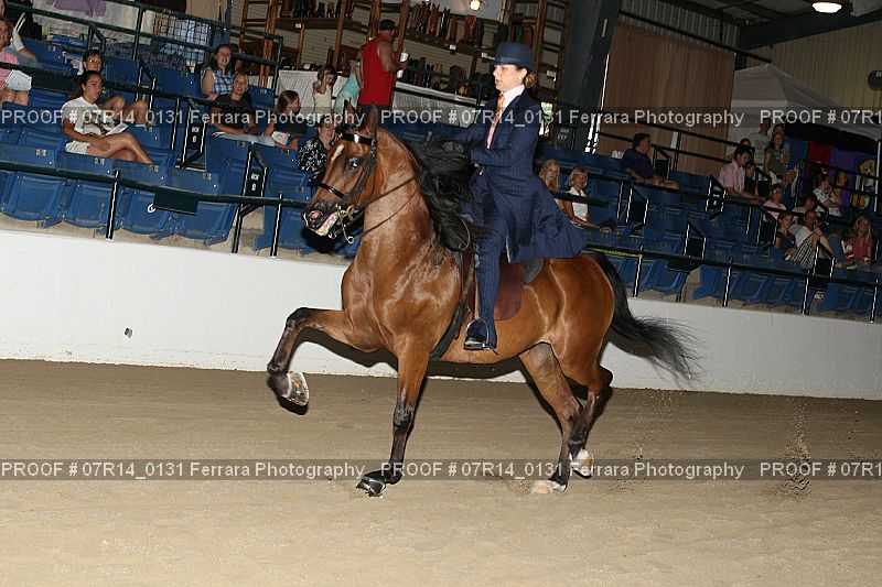 Proof 07R14_0131