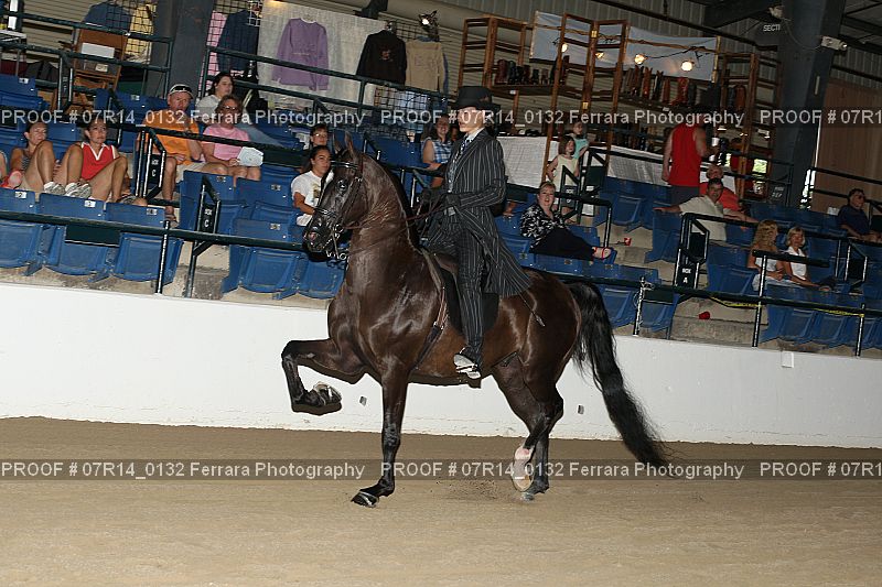 Proof 07R14_0132