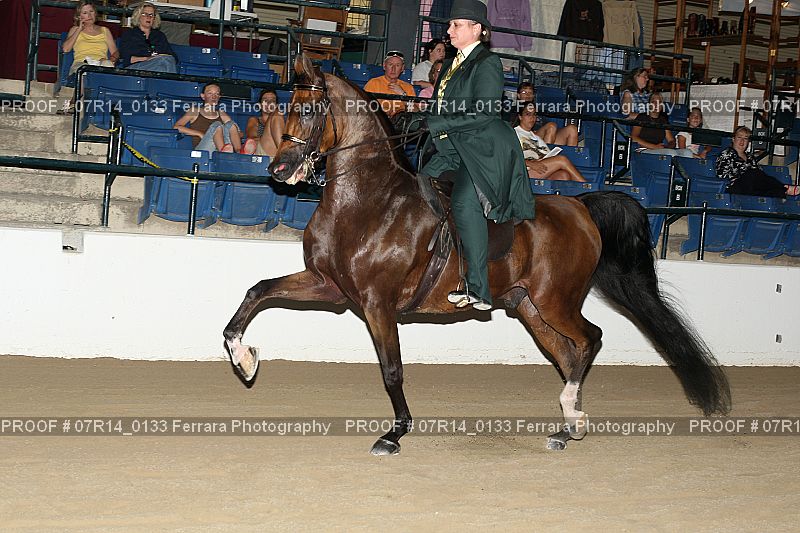 Proof 07R14_0133