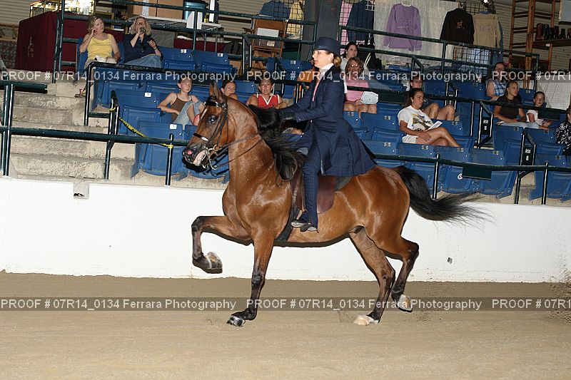 Proof 07R14_0134