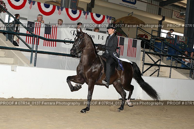 Proof 07R14_0137