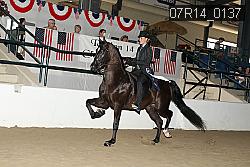 07R14_0137 proof