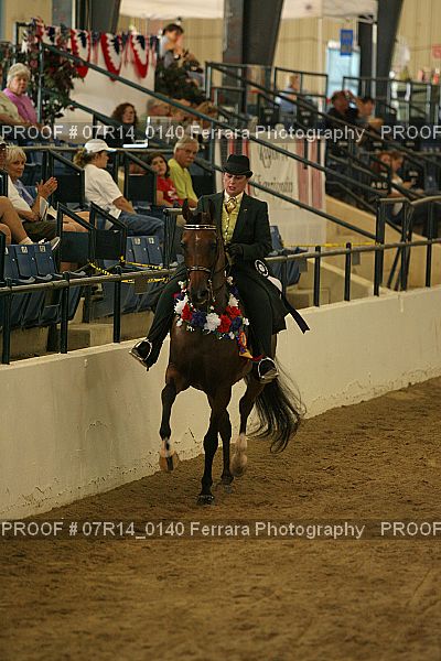 Proof 07R14_0140