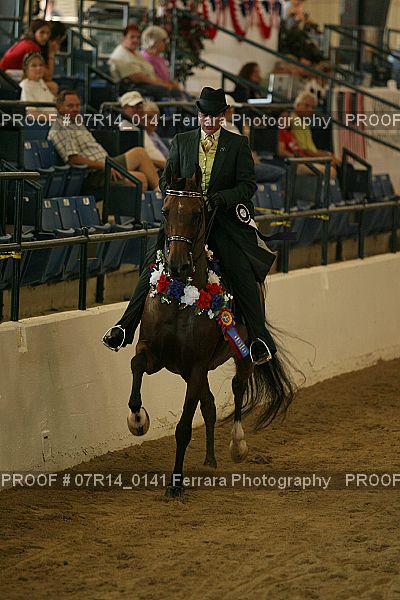 Proof 07R14_0141