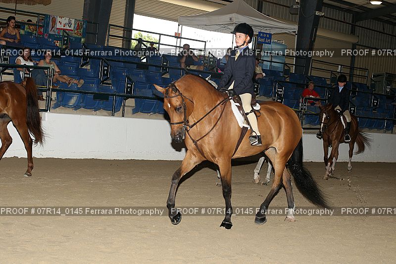Proof 07R14_0145