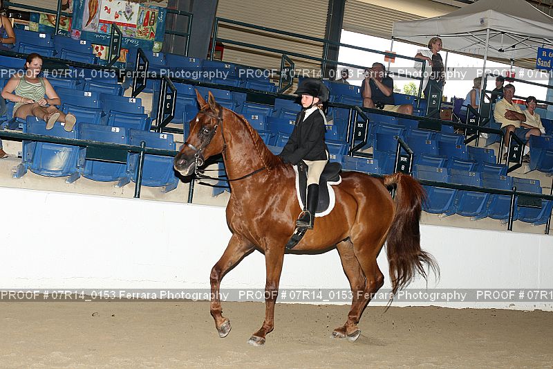 Proof 07R14_0153