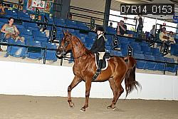 07R14_0153 proof