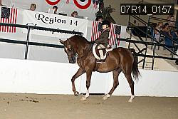 07R14_0157 proof