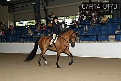 07R14_0170 proof