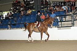 07R14_0171 proof