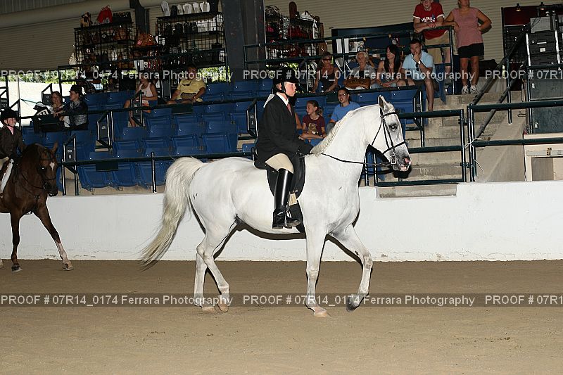 Proof 07R14_0174