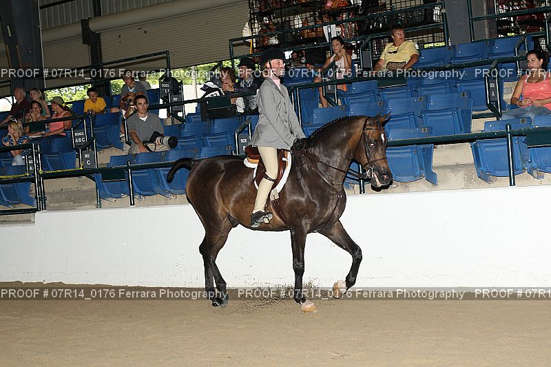 Proof 07R14_0176