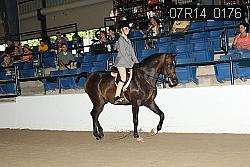 07R14_0176 proof