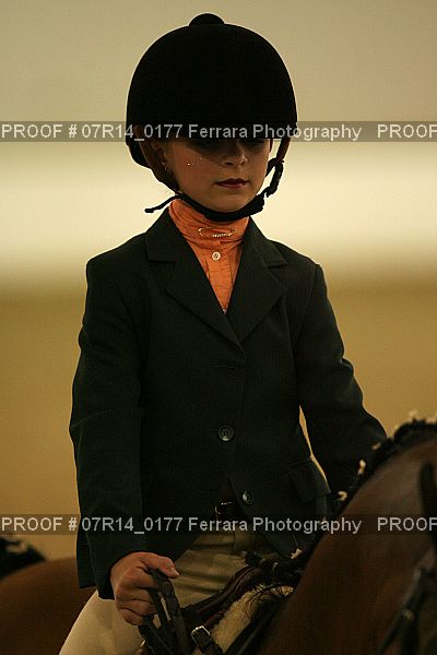 Proof 07R14_0177