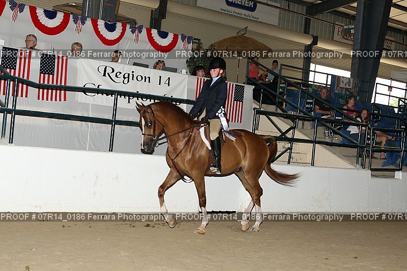 Proof 07R14_0186