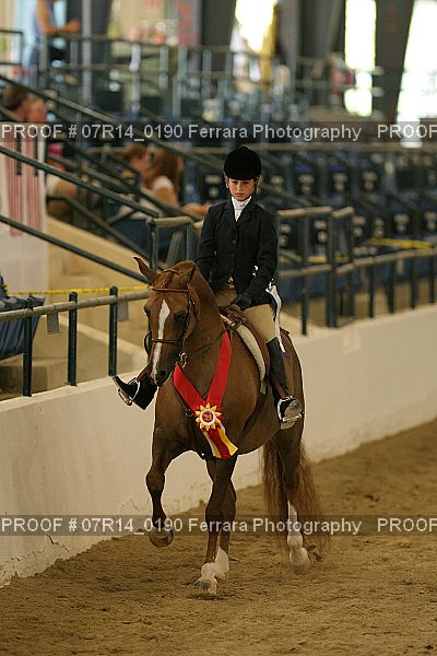 Proof 07R14_0190