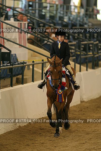 Proof 07R14_0193