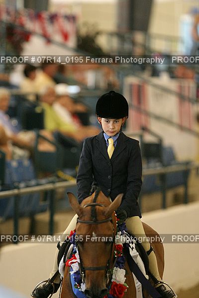 Proof 07R14_0195