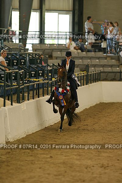 Proof 07R14_0201