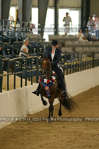 Proof 07R14_0203